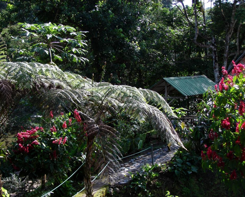 Playaselva Reserva Biologica Villa Archidona ภายนอก รูปภาพ