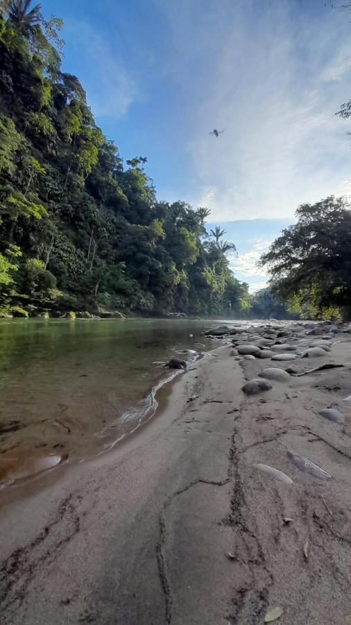 Playaselva Reserva Biologica Archidona ภายนอก รูปภาพ