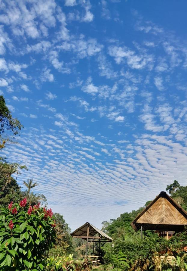 Playaselva Reserva Biologica Archidona ภายนอก รูปภาพ