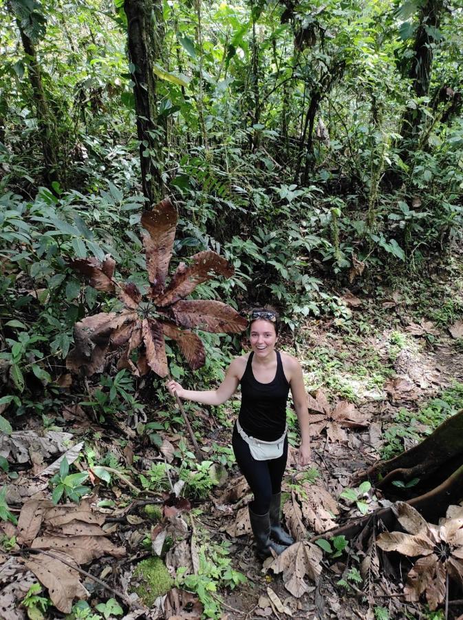 Playaselva Reserva Biologica Archidona ภายนอก รูปภาพ