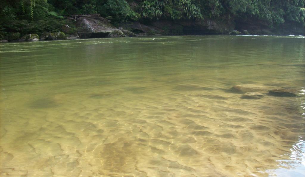 Playaselva Reserva Biologica Archidona ภายนอก รูปภาพ