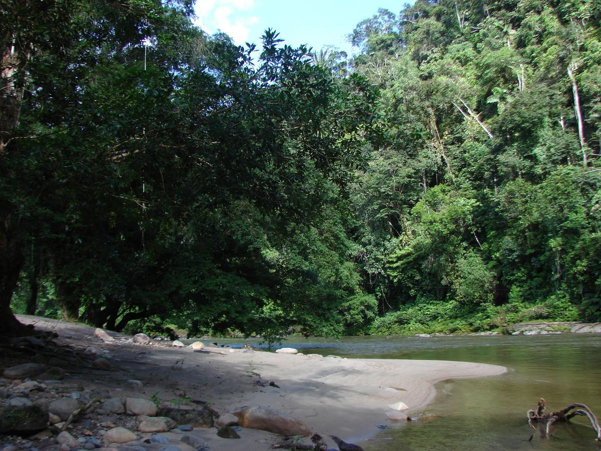 Playaselva Reserva Biologica Villa Archidona ภายนอก รูปภาพ