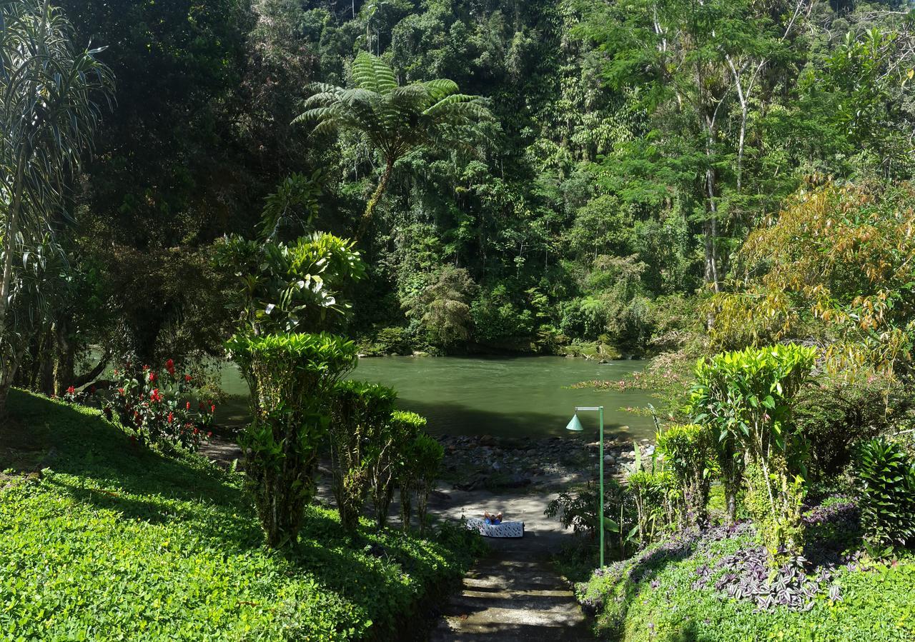 Playaselva Reserva Biologica Villa Archidona ภายนอก รูปภาพ