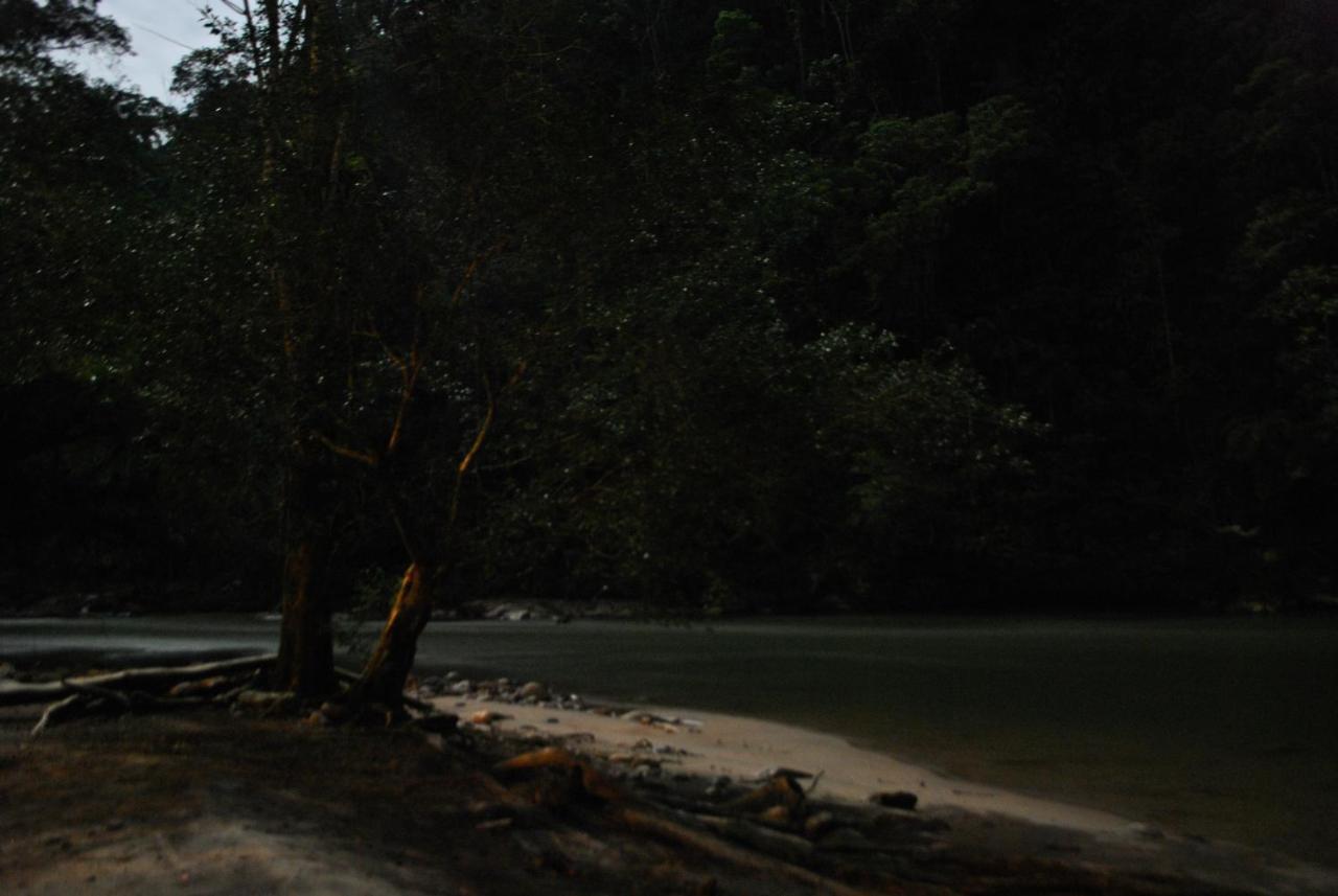 Playaselva Reserva Biologica Archidona ภายนอก รูปภาพ