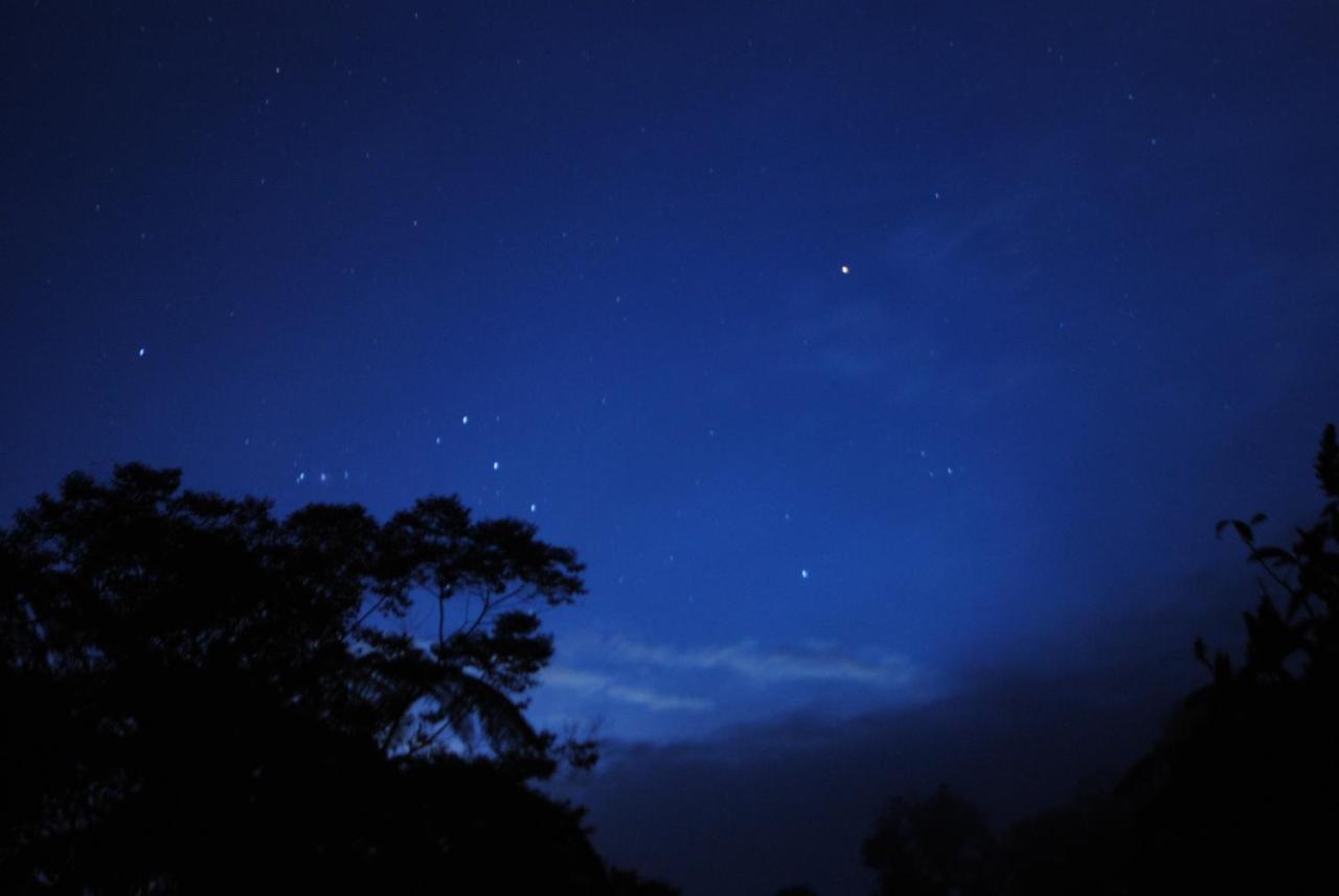 Playaselva Reserva Biologica Villa Archidona ภายนอก รูปภาพ